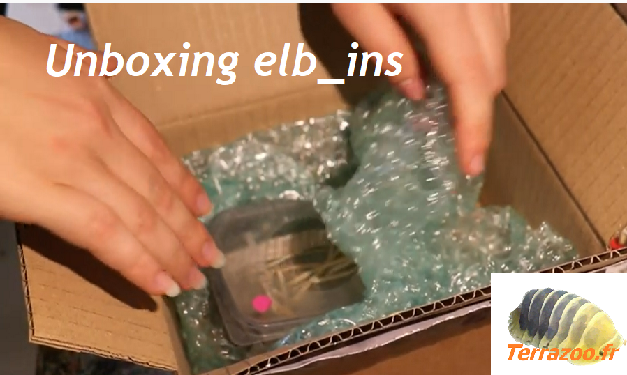 Unboxing Terrazoo chez elb_ins