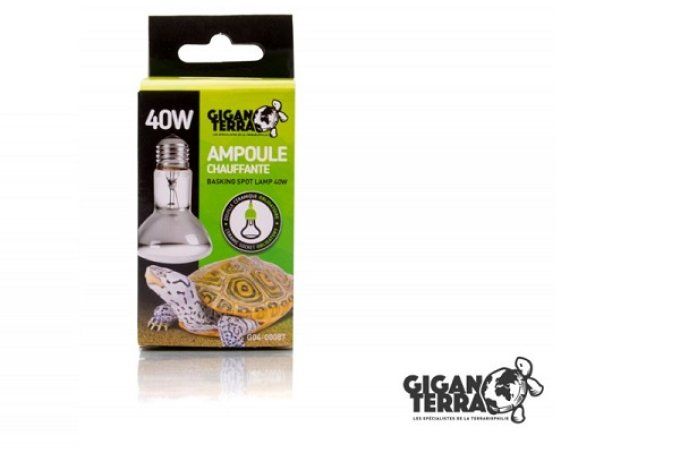 Ampoule Chauffante 