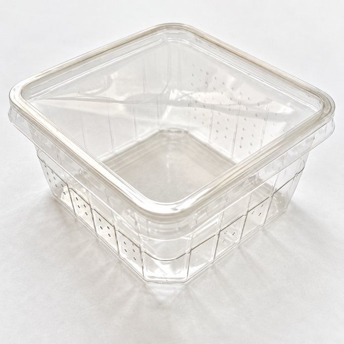 Boite perforée 450ml avec couvercle