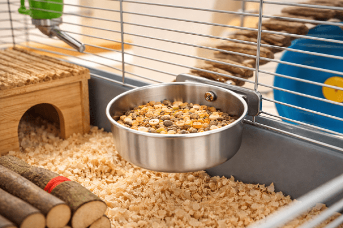 Bol inox 10 cmpour cage