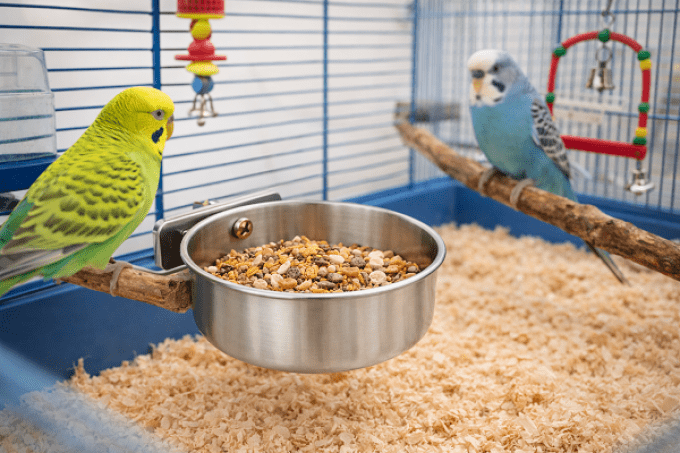 Bol inox 10 cmpour cage