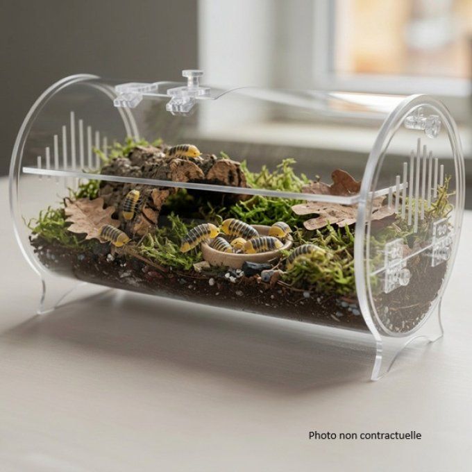 Terrarium acrylique GIGAVIEW horizontal 35x19x20 cm
