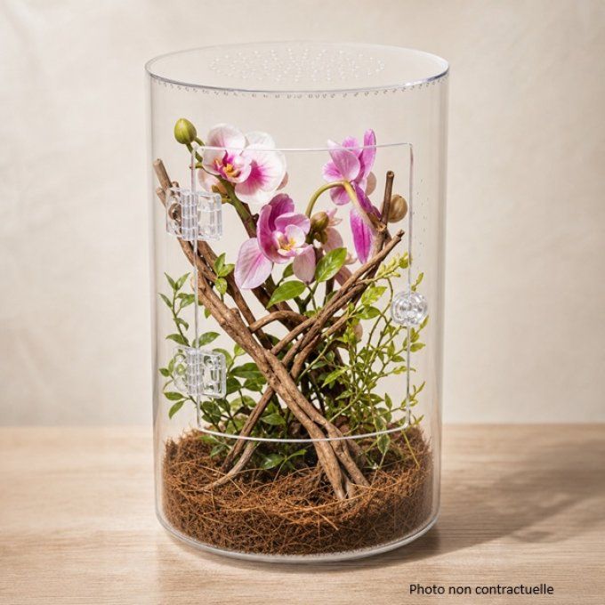 Terrarium GIGAVIEW vertical acrylique 22 × 33,5 cm - Copie