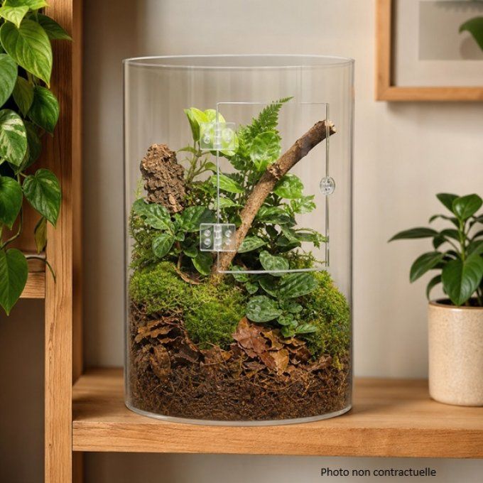 Terrarium GIGAVIEW vertical acrylique 22 × 33,5 cm