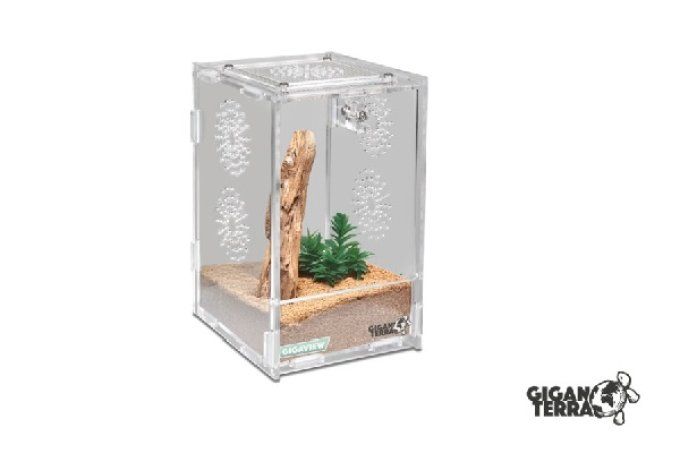 Terrarium acrylique 10x11x16.5 cm 