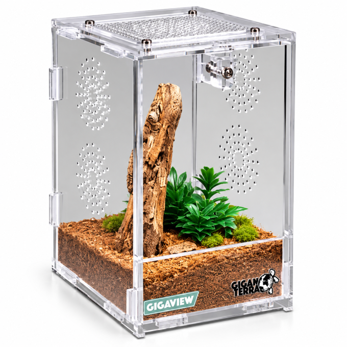 Terrarium acrylique 10x11x16.5 cm 