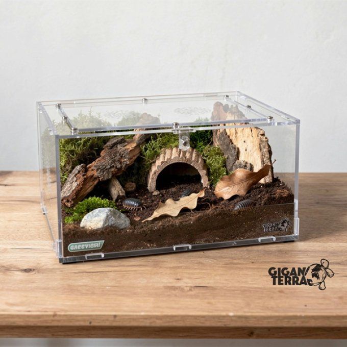 Terrarium acrylique 28.5x20.5x15 cm 