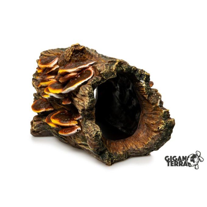 Tronc d’arbre avec champignons – 20,5 cm