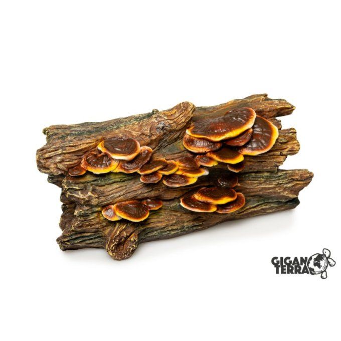 Tronc d’arbre avec champignons – 20,5 cm