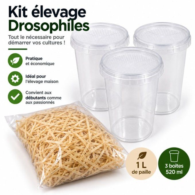 Kit elevage drosophiles