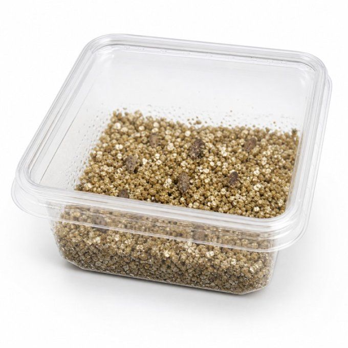 kit incubation oeufs