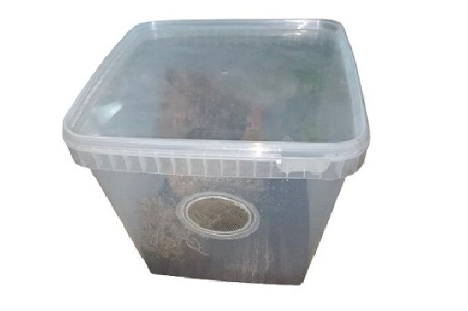 Kit elevage mantes