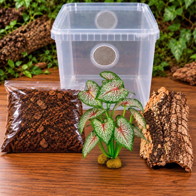 Kit d'élevage mante religieuse ECO – Habitat 5 L
