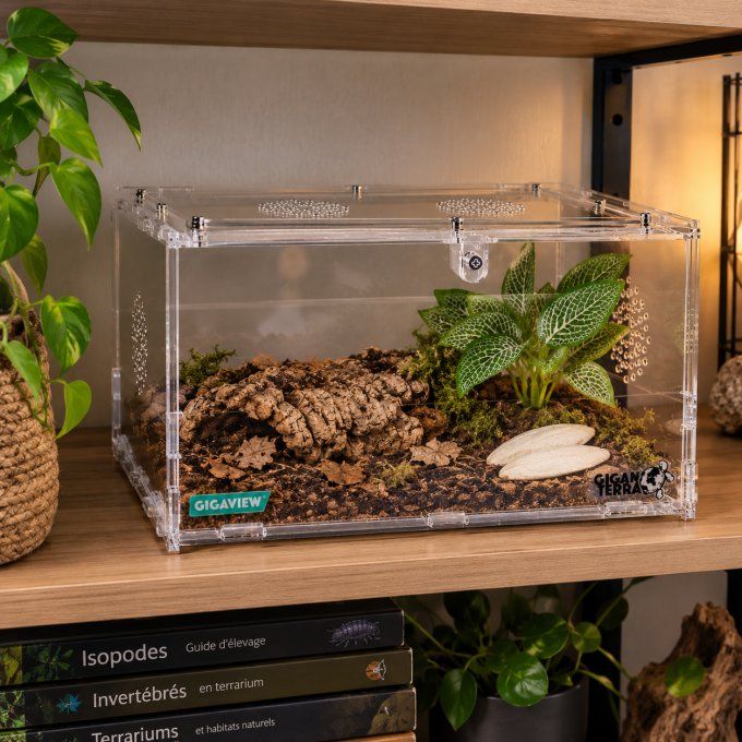 Kit d'élevage Isopodes CONFORT – Terrarium GigaView 28,5 × 20,5 × 15 cm