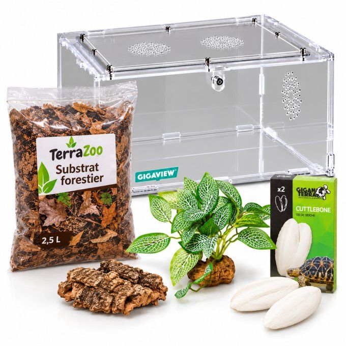 Kit d'élevage Isopodes CONFORT – Terrarium GigaView 28,5 × 20,5 × 15 cm