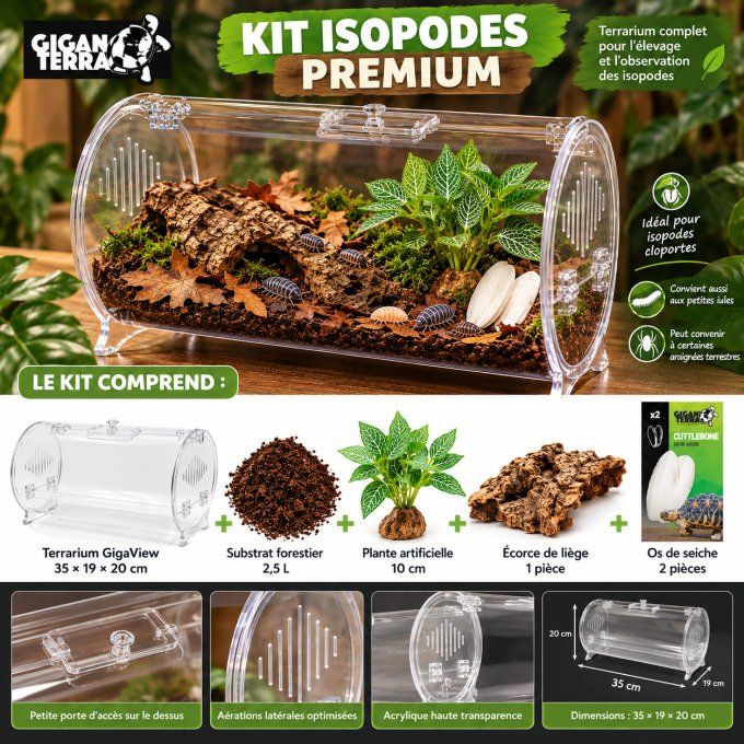 Kit Isopodes PREMIUM – Terrarium GigaView Cylindrique 35 cm