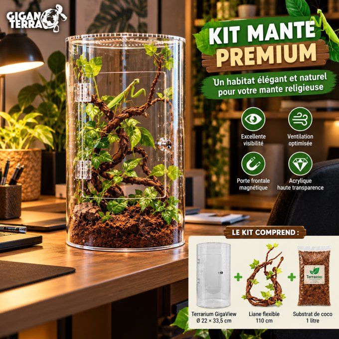 Kit Mante Religieuse PREMIUM – Terrarium GigaView Cylindrique 33,5 cm