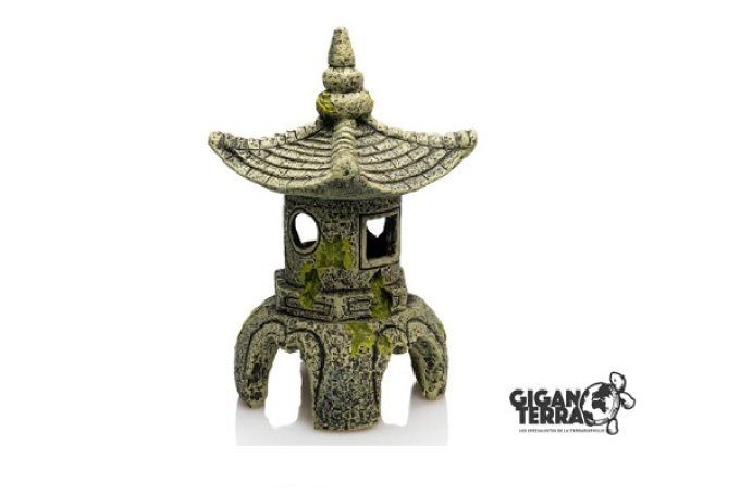 Lanterne chinoise 