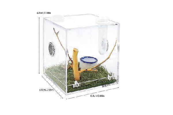 Mini terrarium acrylique