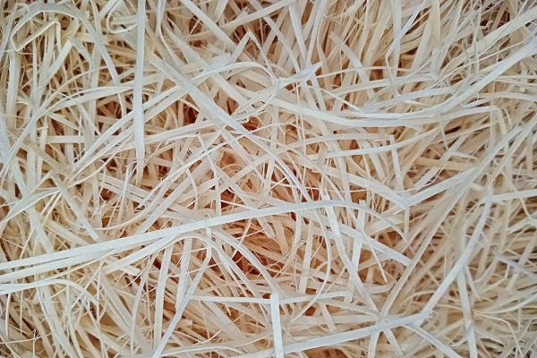 10,23 pièces Pailles de bois en plastique Algeria