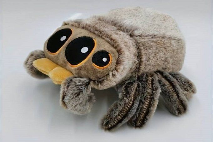 Peluche Phidippus Lucas