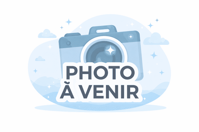 Cryptophyllium limogesi "Thac Krong Kmar"