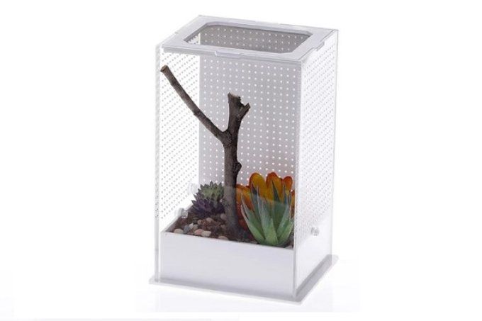 Terrarium acrylique pour mantes