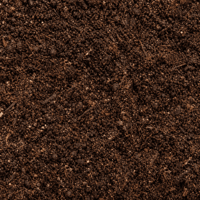 Humus naturel 2.5L (isopode, iules)