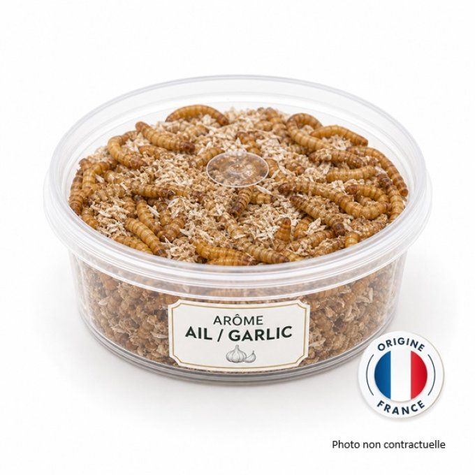 Vers de Farine Aromatisés à l’Ail – Boîte 125 cc