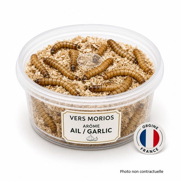 Morios Jumbo Spécial Truite à l'Ail