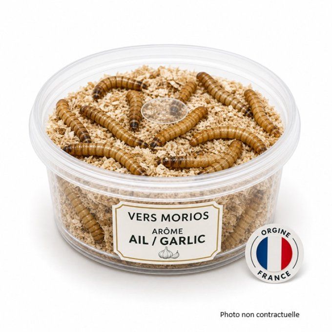 Morios Jumbo Spécial Truite à l'Ail