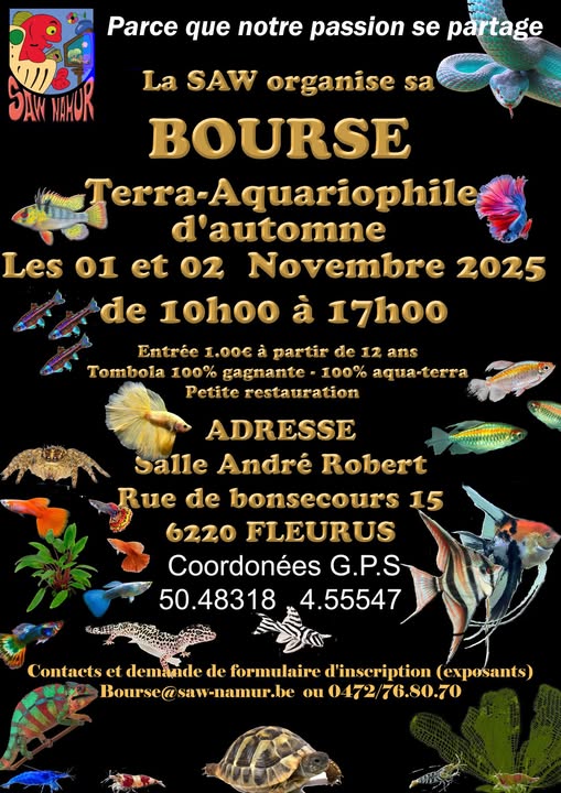 Bourse poissons et arthropodes