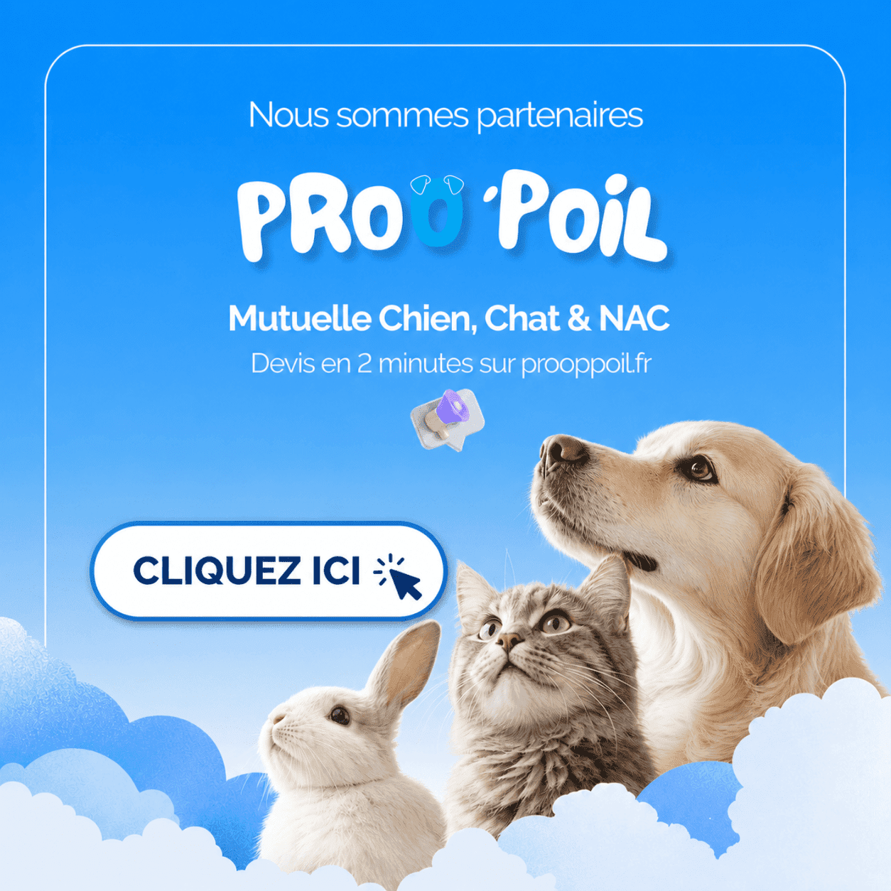 Titre